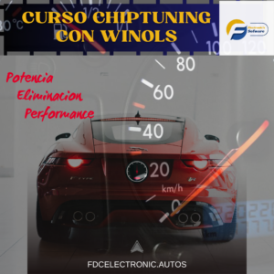 Curso Chiptuning con winols